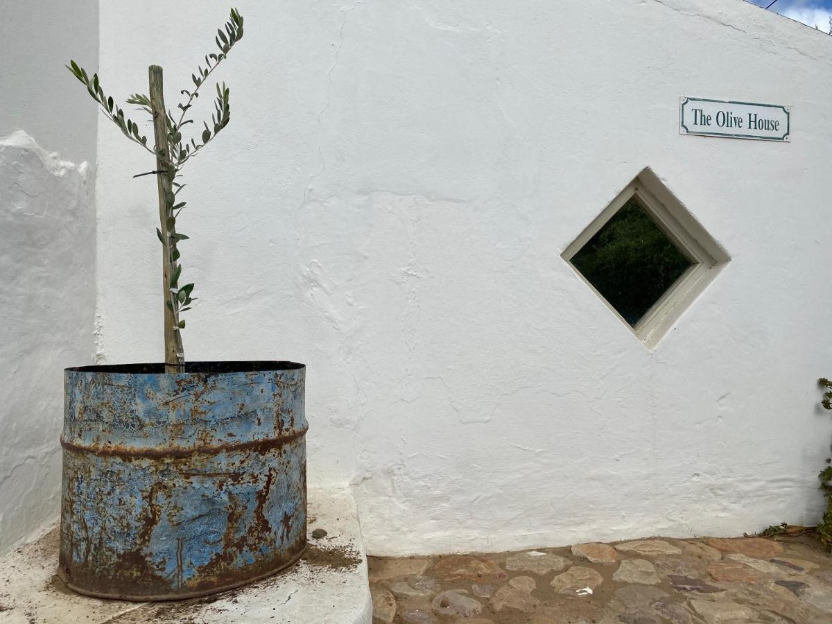 The Olive House, Prince Albert Eksteriør billede